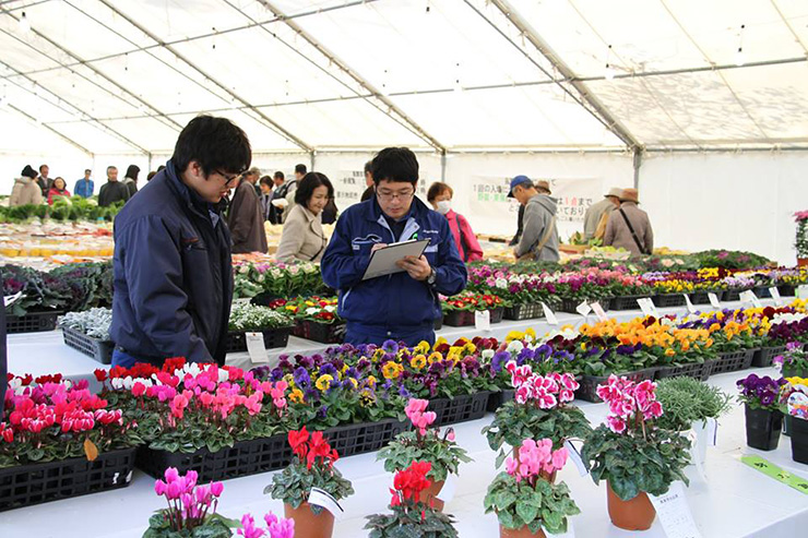 光が丘公園 農業祭