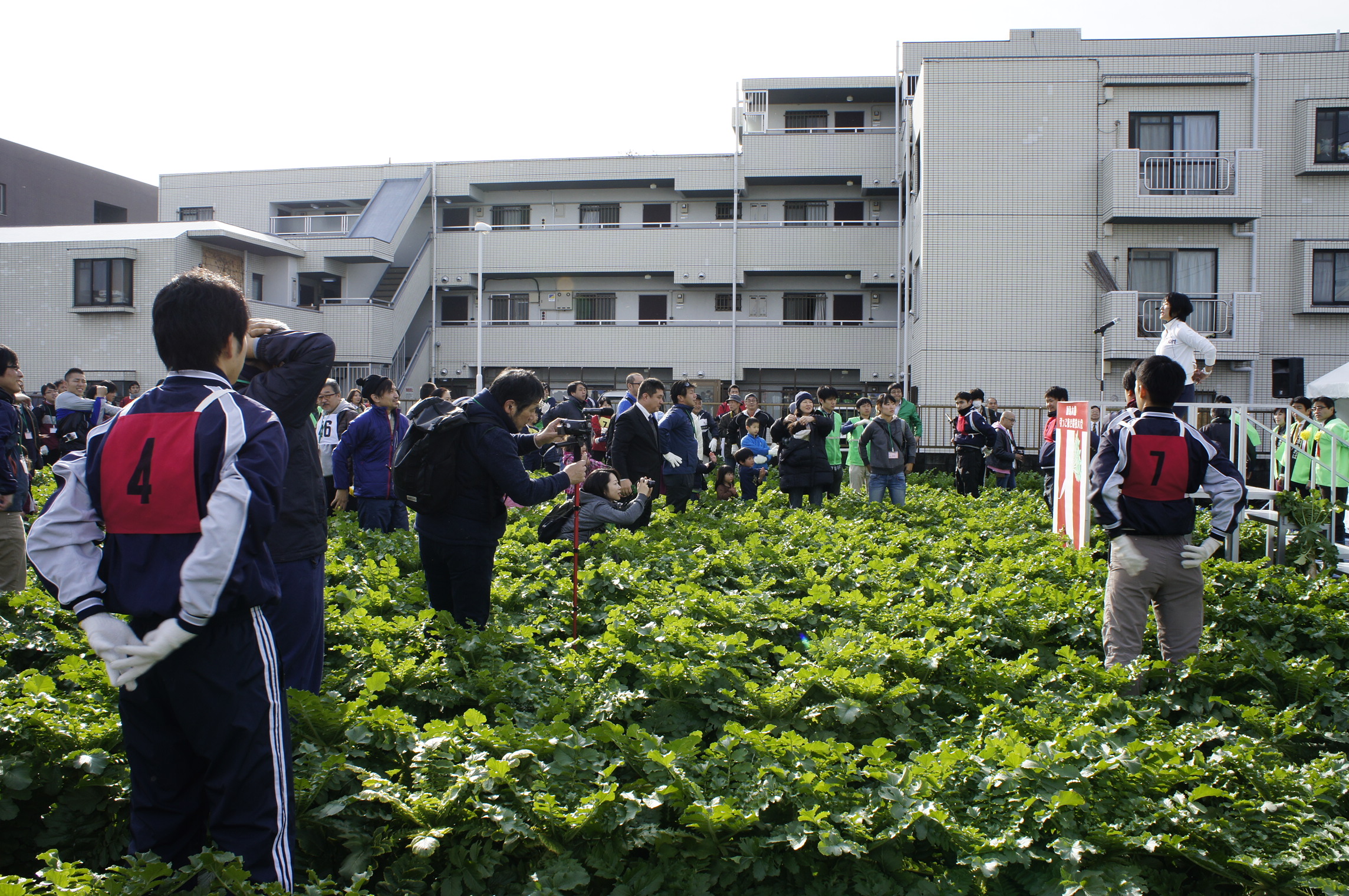 第10回 練馬大根引っこ抜き競技大会 準備体操