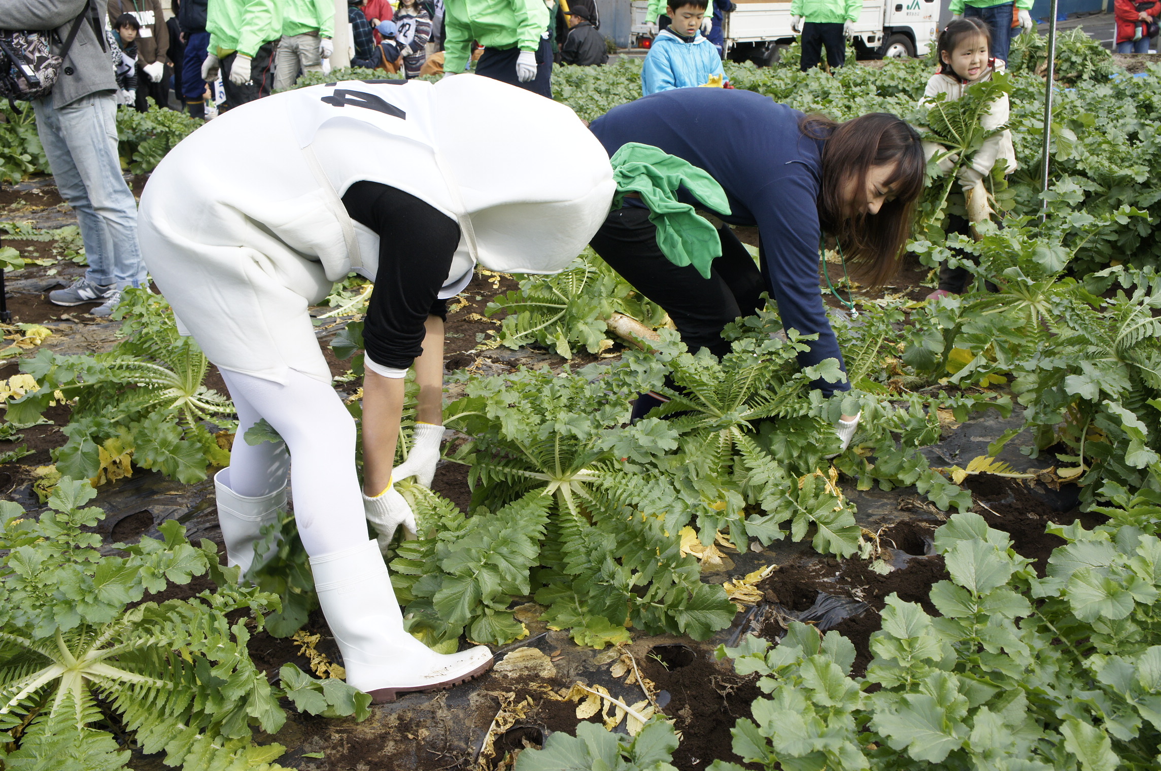 大根のきぐるみを着た参加者