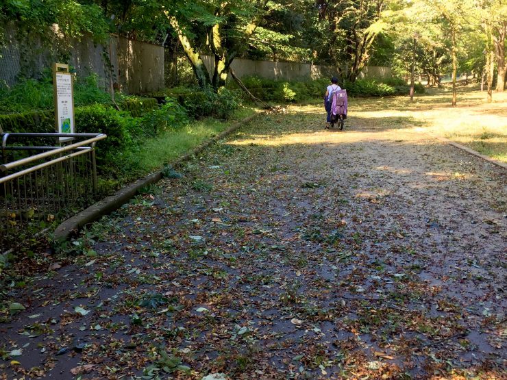 光が丘公園 道