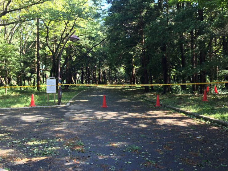 光が丘公園 立ち入り禁止