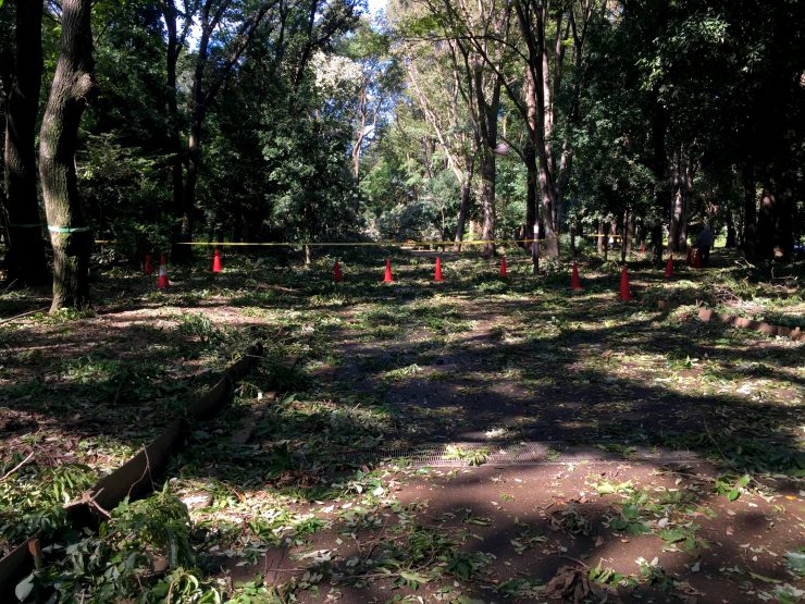 光が丘公園 立ち入り禁止