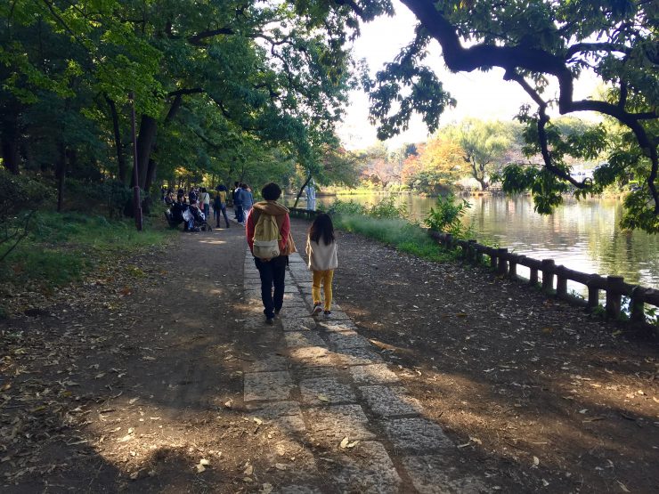 石神井公園 池の道