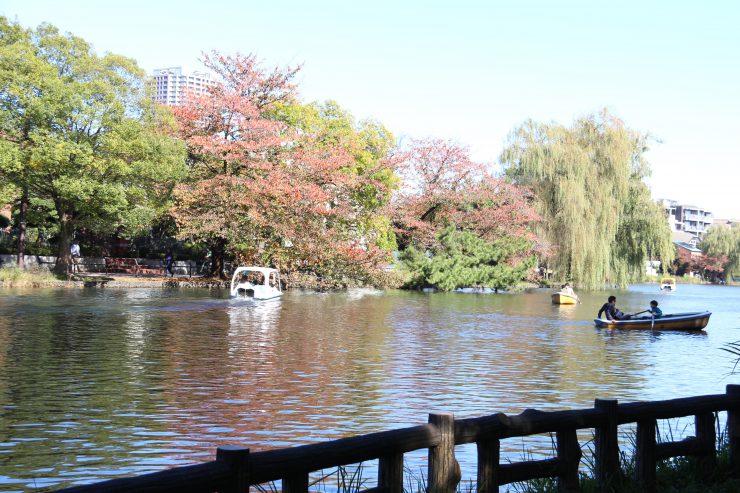 石神井公園 ボート池