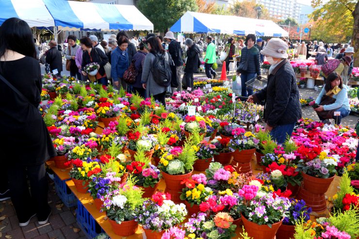 農業祭2018（園芸）