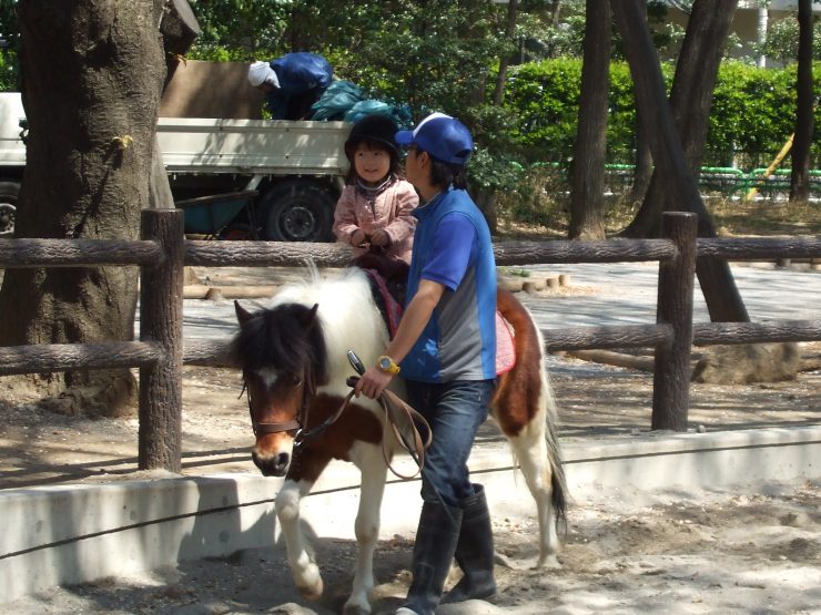 出張動物園 ポニー乗馬