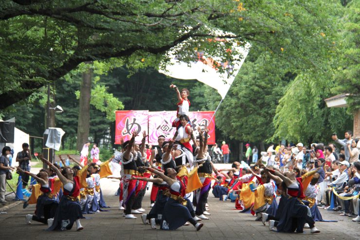 よさこい2019-8