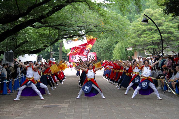 よさこい2019-7