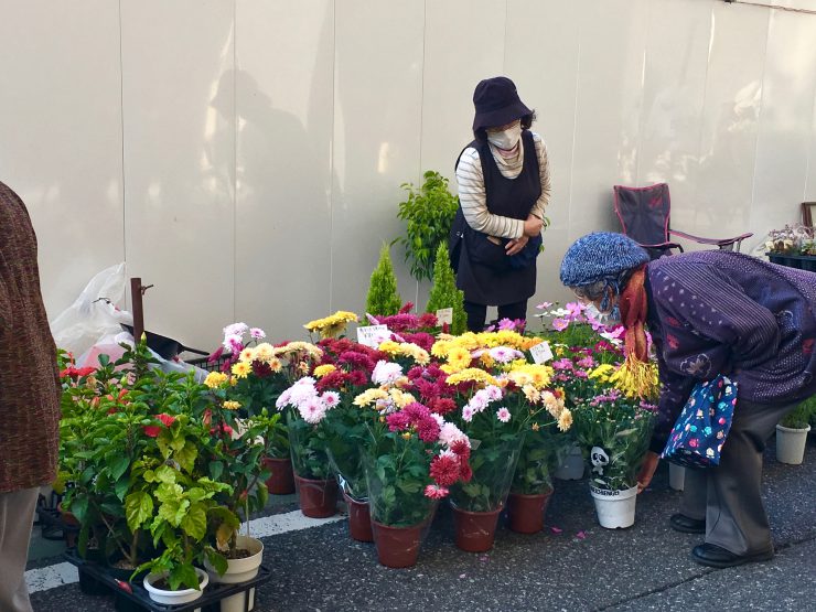 酉の市2019（植木）