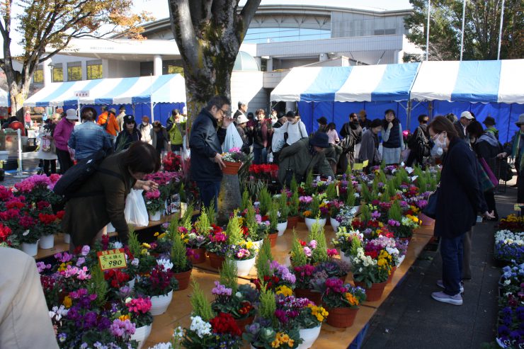 農業祭2019（園芸品クリスマス）