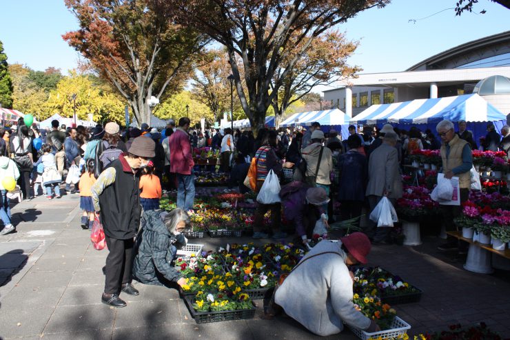 農業祭2019（園芸品販売全景）