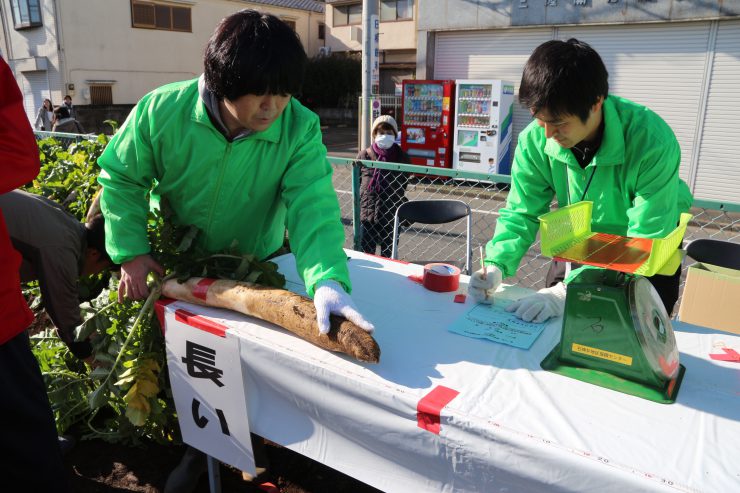 練馬大根引っこ抜き競技大会（測定）