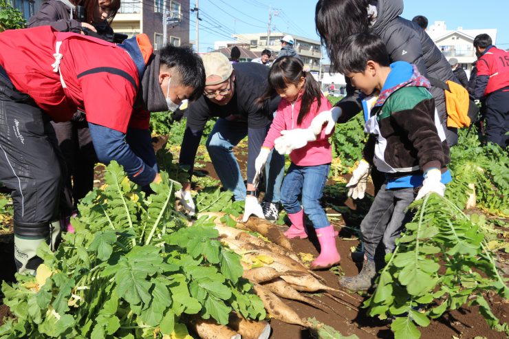 練馬大根引っこ抜き競技大会（家族）