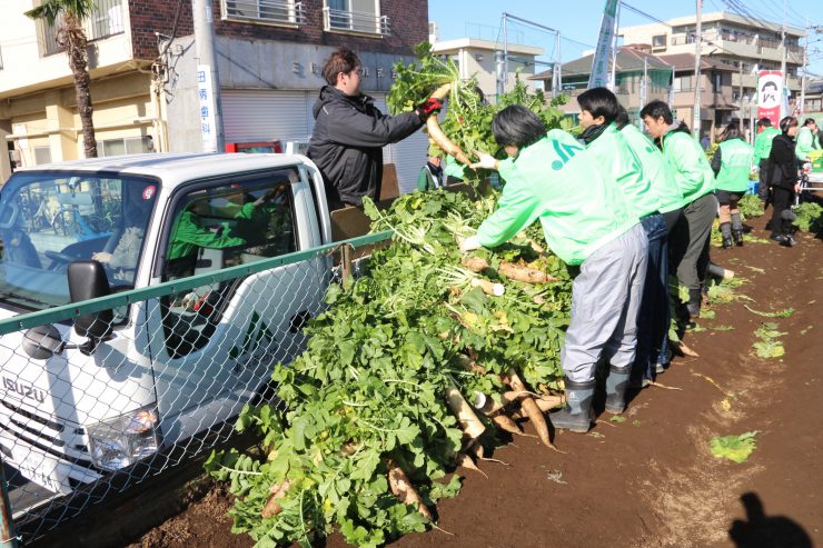 練馬大根引っこ抜き競技大会（学校へ）