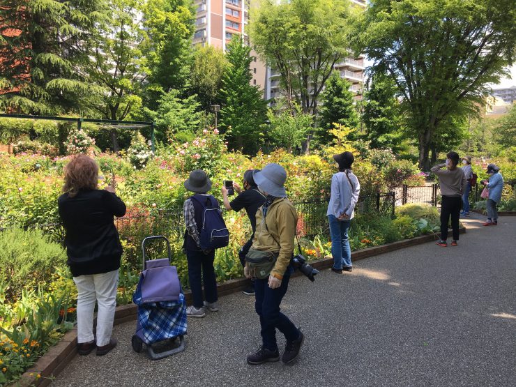 ローズガーデン 休園（撮影）