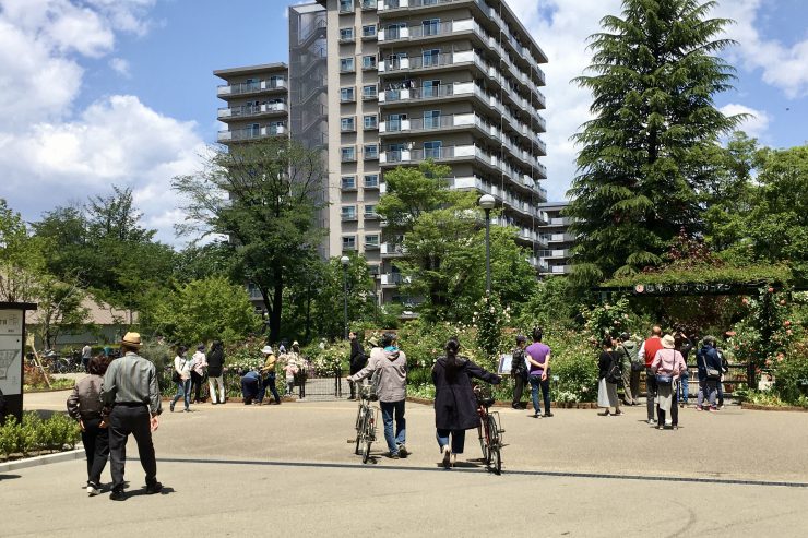 ローズガーデン 休園（人出）